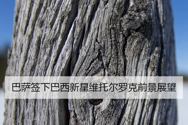 ba-sa-qian-xia-ba-xi-xin-xing-wei-tuo-er-luo-ke-qian-jing-zhan-wang-2-461.jpg